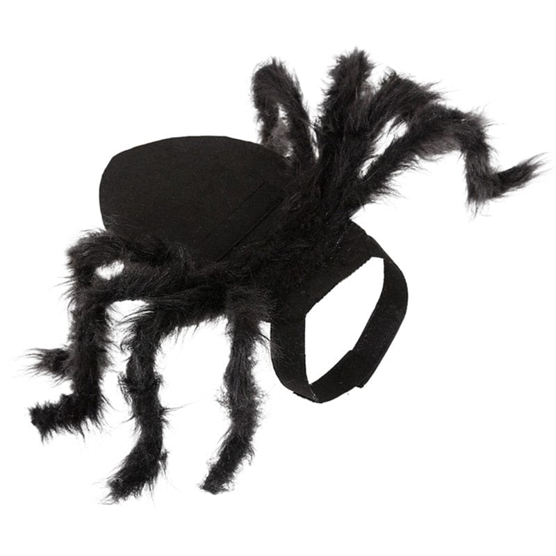 a black spider legs cat costume outfit 