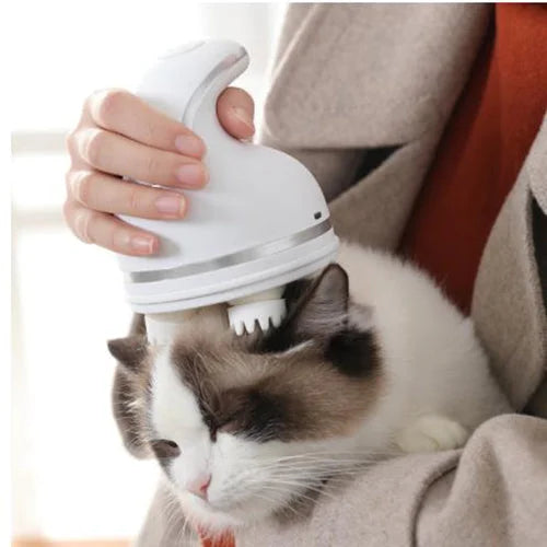 cute brown and white cat getting a relaxing head massage using a white electric massager 