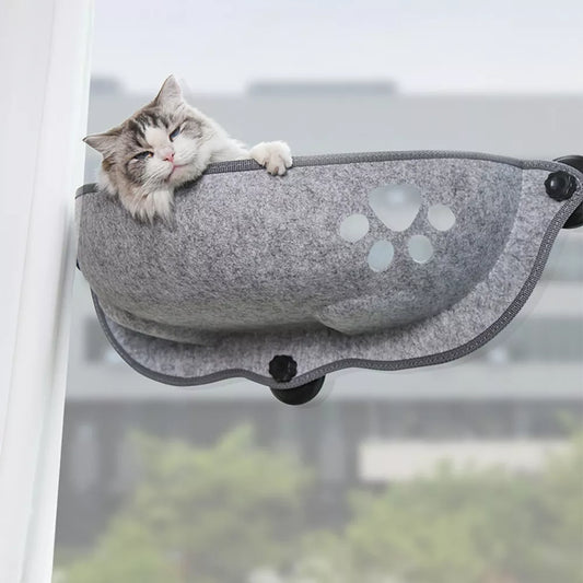 cute cat sleeping in a gray window mounted hammock 