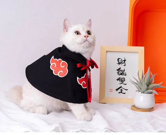 a cute white cat wearing a black and red Naruto cloak anime costume 
