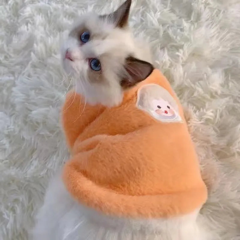cute cat wearing a fluffy orange sweater costume with a sheep picture