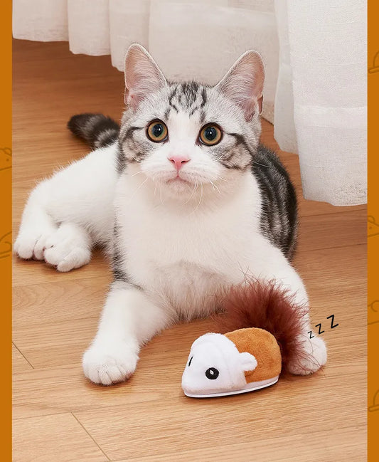 a cute black and white cat playing with a brown and white mouse toy