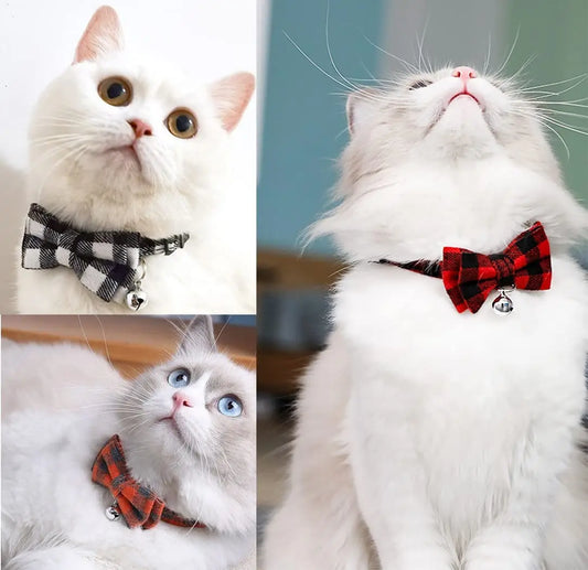 cute cats wearing cute bowtie collars with bells 