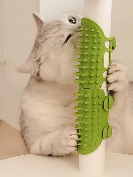 cute cat using a green mounted green grooming and itching brush 
