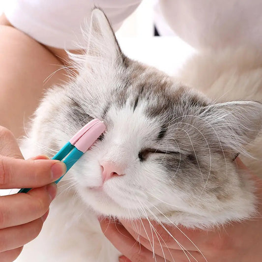 cute cat getting his eye brushed with a grooming pink cat eye brush