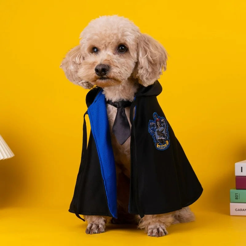 a cute white cute with glasses wearing a harry potter cloak costume with books next to it