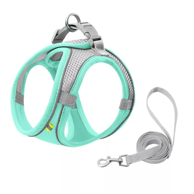 green and gray cat leash harness 