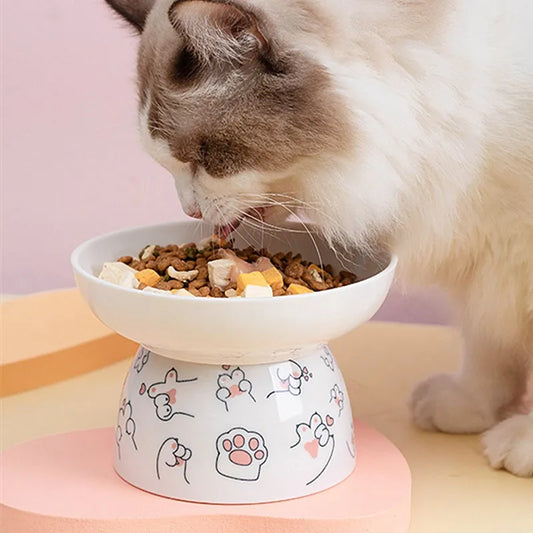 white and gray cat eating off a cute ceramic bowl with cat paws paintings on it