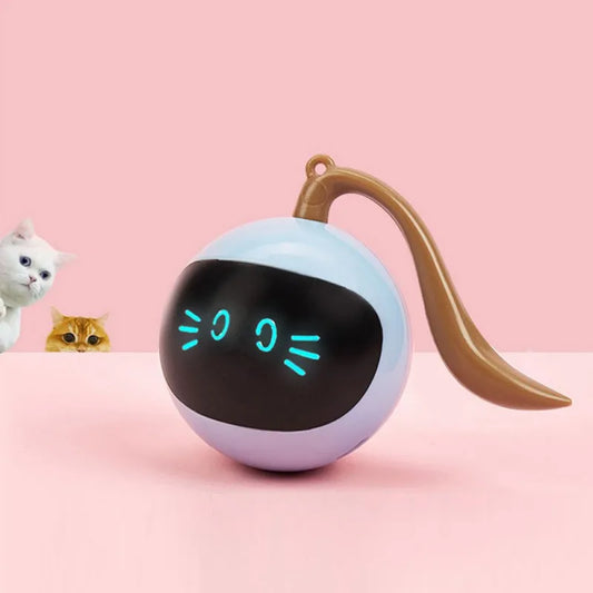 blue electric cat toy with cute digital eyes and two cute cats looking at it