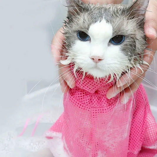 a cute cat with blue eyes taking a bath in a pink bath bag 
