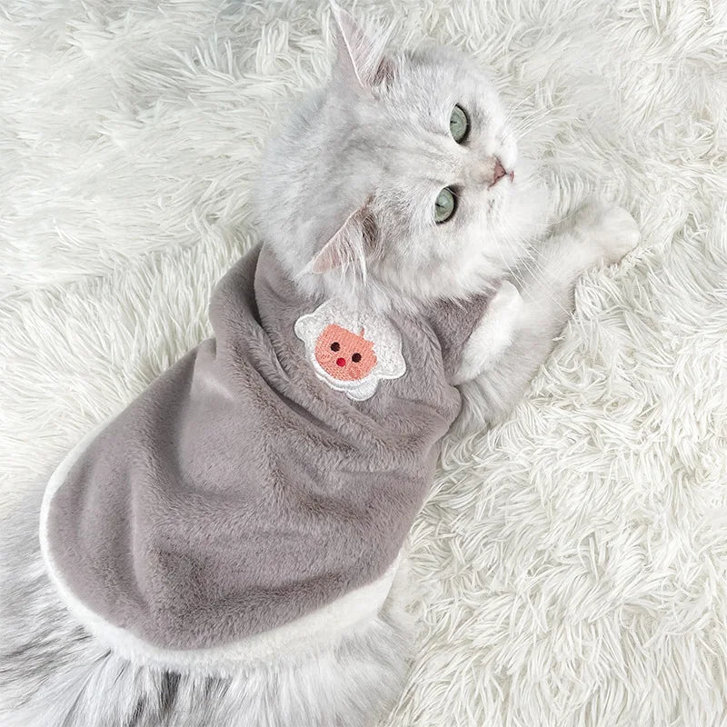 cute cat wearing a fluffy gray sweater costume with a sheep picture