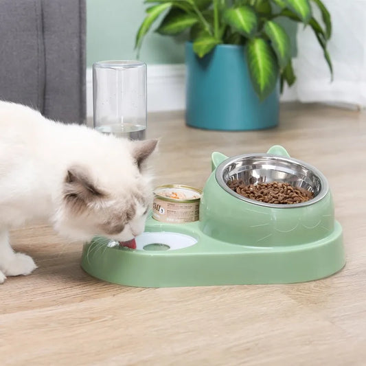 a cute white cat drinking water from a green double bowl that has dry food, water, and tuna cat 