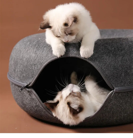 two cute cats playing in a donut bed while one cat is inside and the other cat is on the top
