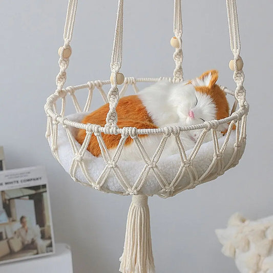 sleeping orange cat in a hanging white cute bed 