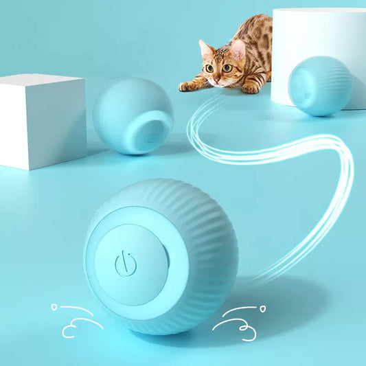 a cute cat playing with an electric blue bouncing ball toy 
