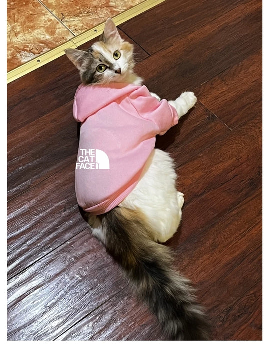 a cute cat wearing a cute pink cat hoodie outfit costume with white writing 