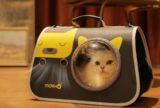 a cute white cat looking from a clear bubble window on a black carrying bag with a sleeping cat picture and breathing holes and a handle 