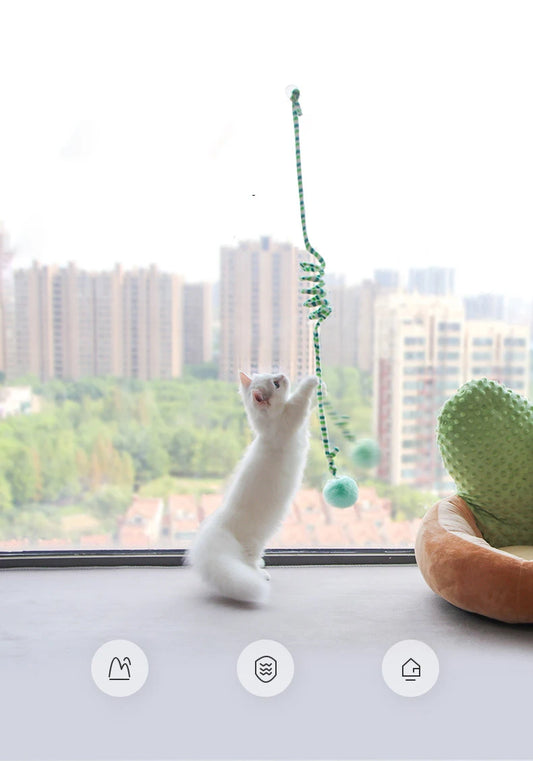 a cute white cat playing with a rope toy that is attached to a clear apartment window 