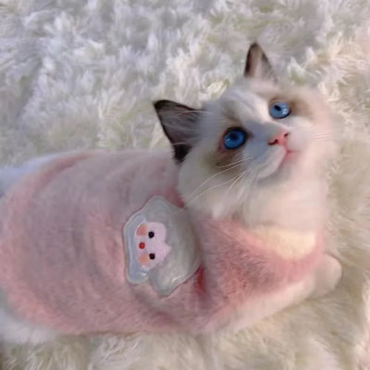 cute cat wearing a fluffy pink sweater costume with a sheep picture