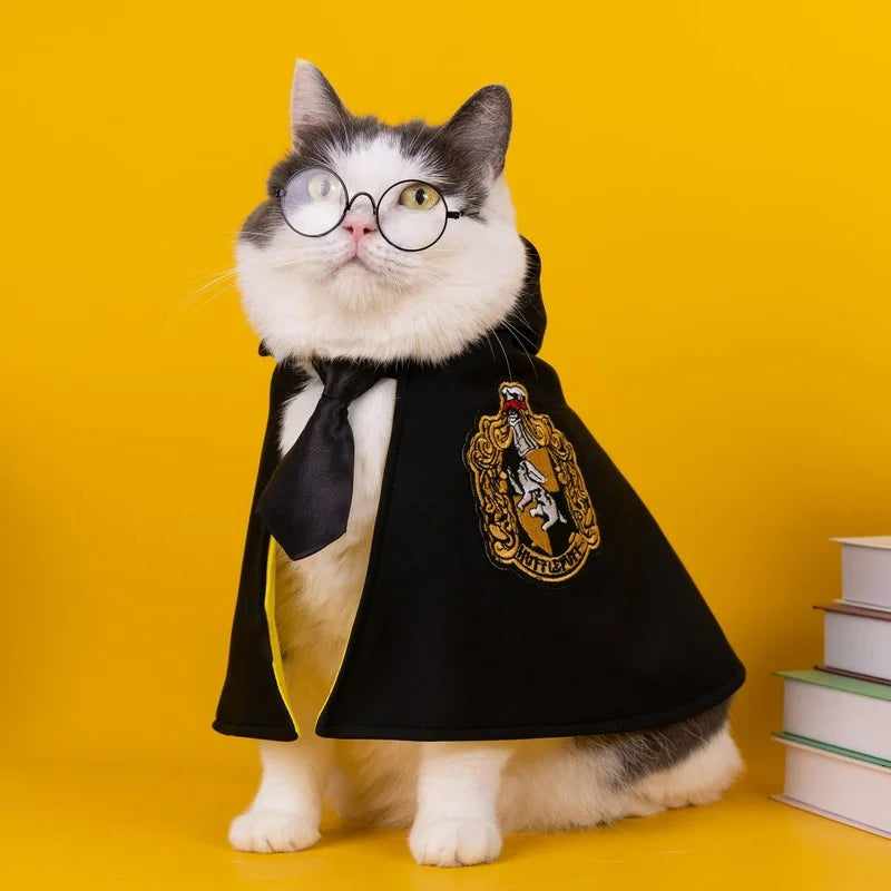 a cute white cat with glasses wearing a harry potter cloak costume with books next to it