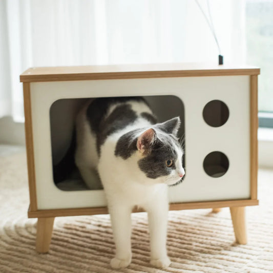 a cute cat walking out of a tv shaped cat bed 