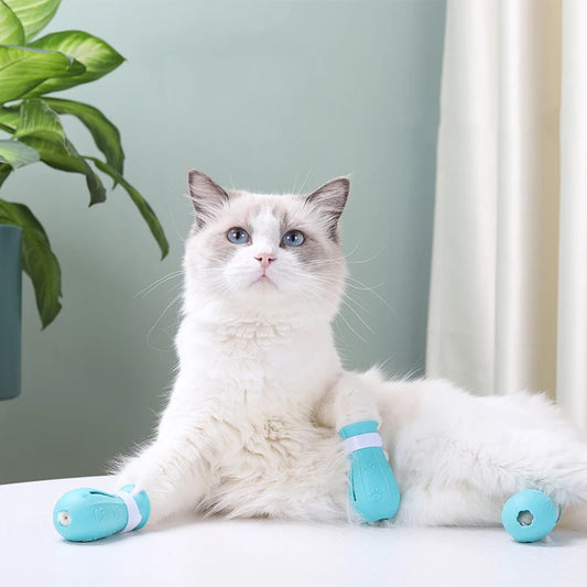 a cute white cat wearing blue paws covers 