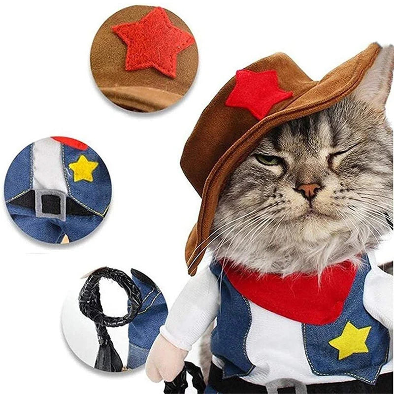 Cat Costume Collection