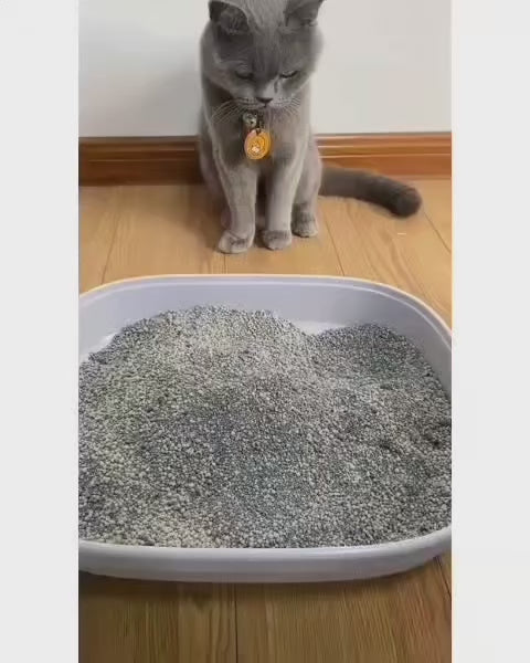 a cute cat watching its owner clean the litter box using a litter box scoop attached to a small trash at the bottom 