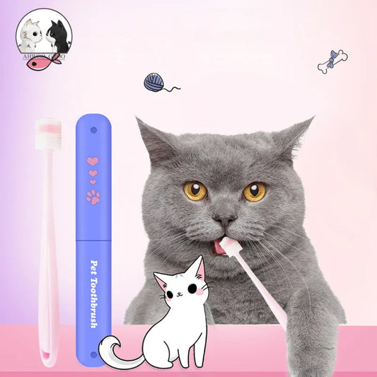 a cute gray cat cleaning its mouth using a cat tooth brush 