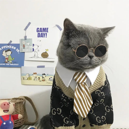 super cool cat with round dark glasses and a striped tie 