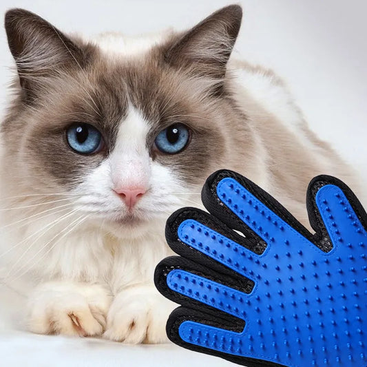 blue cat hair glove remover and grooming