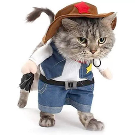 cute cowboy cat costume with a brown cowboy hat and and jeans 