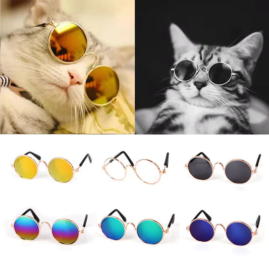 two cute cats wearing cool glasses and different color glasses for cats 