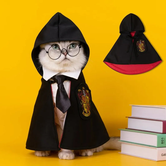 a cute white cat with glasses wearing a harry potter cloak costume with books next to it