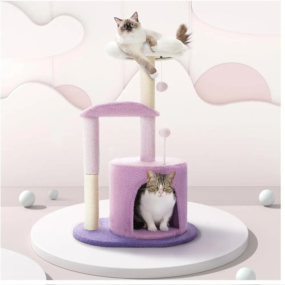 2 cats chilling on the purple cat tower 